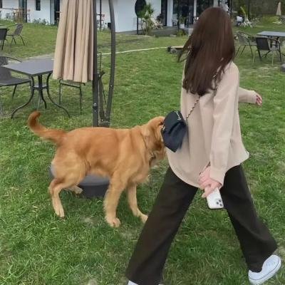 爱在缅因州